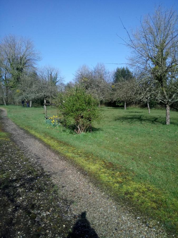 Lait & Lit Bed & Breakfast Triqueville Bagian luar foto